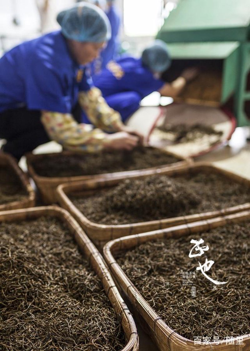 茶叶加工机械设备全套:打造高质高效生产线