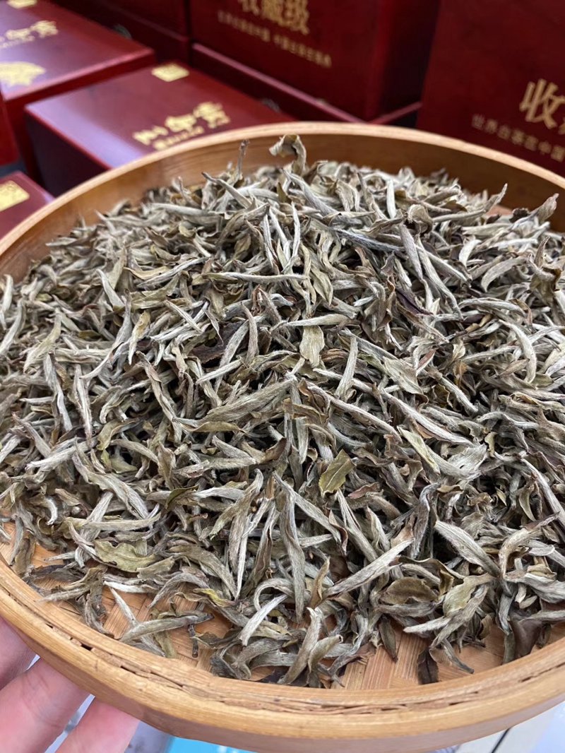 如何在收茶青时赚取差价?新手也能轻松入门