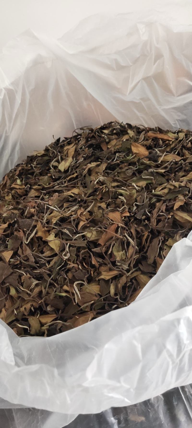 大茶沟茶叶合作社：如何引领传统茶园走出困境